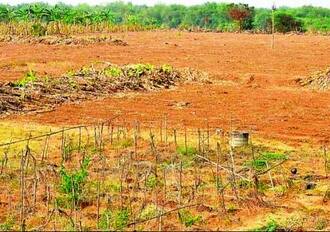 भूसंपादन: Latest News, Photos and Videos on ...