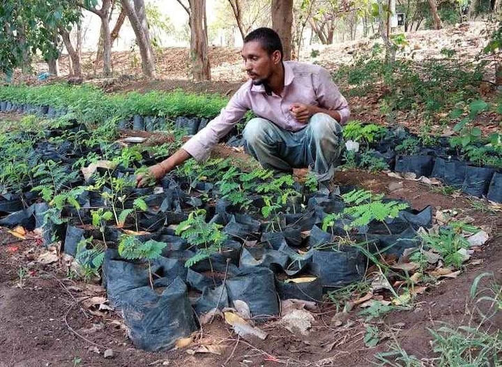 sachin atkare blog on tree planting जगावेगळ्या रोपवाटिकेची कहाणी