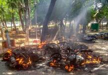 तामिळनाडूत हिंसक आंदोलन, पोलिसांच्या गोळीबारात 11 जणांचा मृत्यू