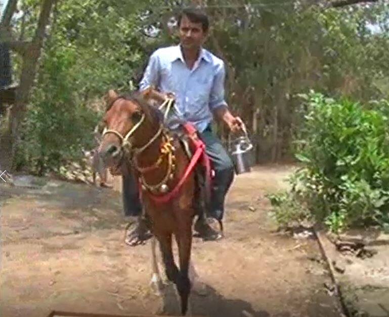 घोड्यावरुन दूधविक्री, पेट्रोल महागल्याने दुचाकी विकून घोडा घेण्याची वेळ Thane : Farmer selling milk on horse due to petrol rate hike घोड्यावरुन दूधविक्री, पेट्रोल महागल्याने दुचाकी विकून घोडा घेण्याची वेळ