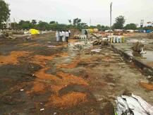 बारदान्याअभावी 19 हजार क्विंटल हरभऱ्याच्या पावसात घुगऱ्या