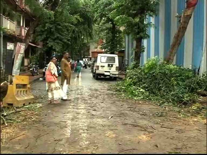 Bombay High court to BMC on permission for tree cutting latest update खाजगी संस्थांना वृक्षछाटणीची संमती देण्याबाबत पुनर्विचार करा : कोर्ट