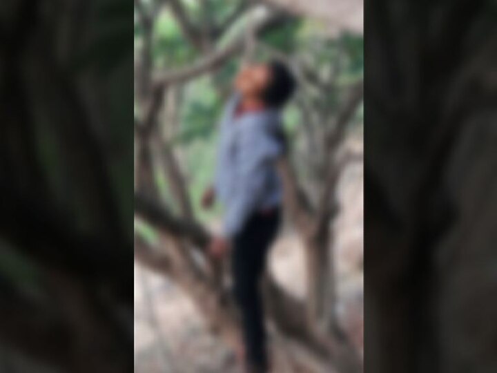 Pune : Girl commits suicide at Shivneri fort शिवनेरी किल्ल्यावर झाडाला गळफास घेऊन तरुणीची आत्महत्या