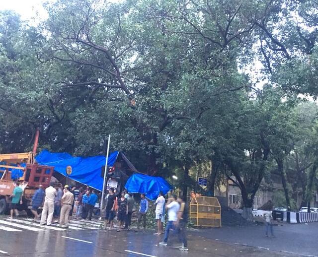 अंगावर झाड कोसळून मुंबईत एकाचा मृत्यू, चार जण जखमी