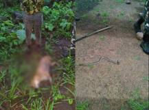 तेरी मेहरबानियाँ! कुत्र्याने स्वतःचा जीव देऊन पोलिसाला वाचवलं!