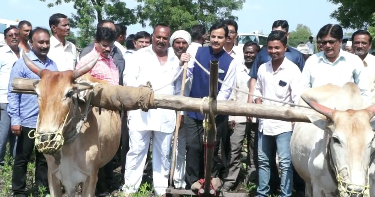 अकोल्याच्या पालकमंत्र्यांसह अख्खं जिल्हा प्रशासन दिवसभर बांधावर