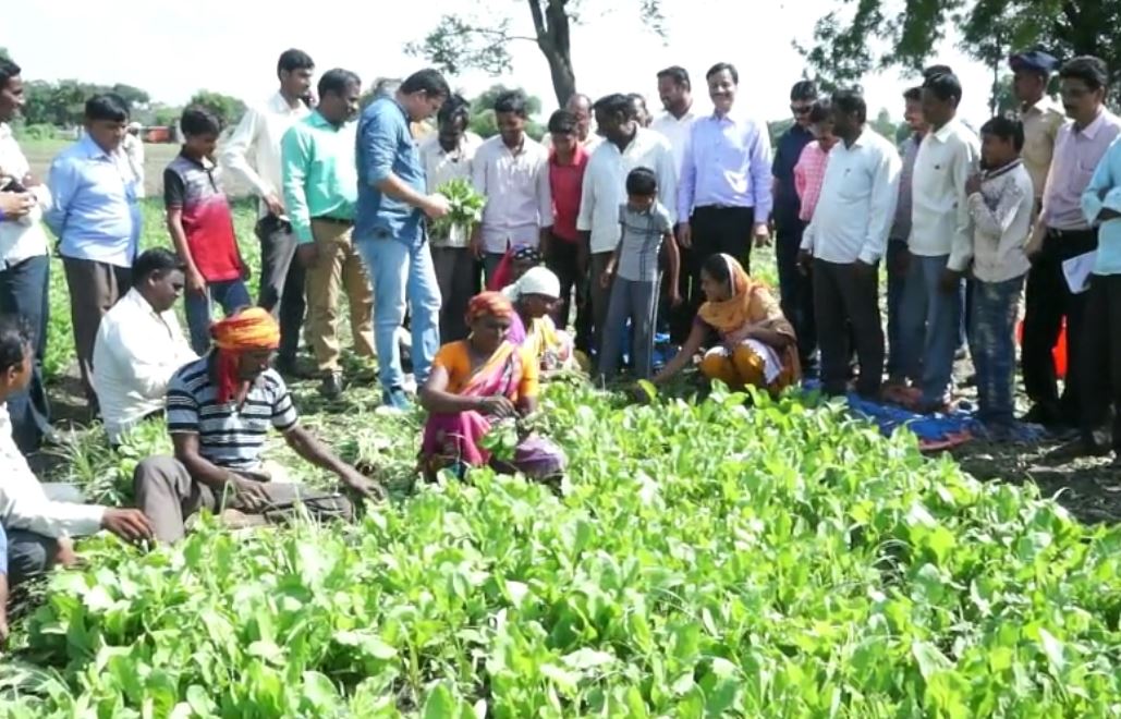 अकोल्याच्या पालकमंत्र्यांसह अख्खं जिल्हा प्रशासन दिवसभर बांधावर