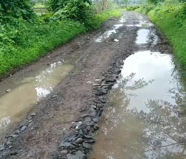 इथे ना रस्ता आहे, ना कसली सुविधा, महाराष्ट्रातलं धक्कादायक वास्तव