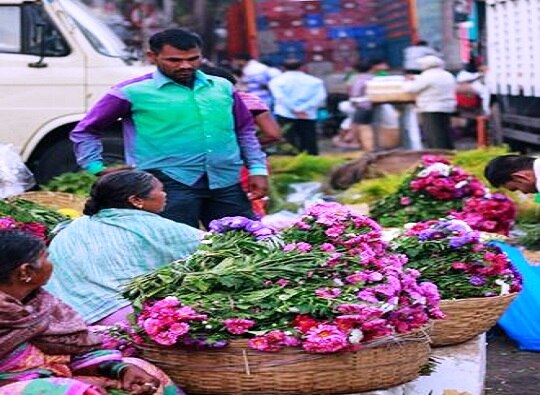 Bombay Highcourt bans flower sellers outside Dadar Railway Station latest update दादर रेल्वे स्टेशनबाहेर फुलं विकण्यास फेरीवाल्यांना बंदी