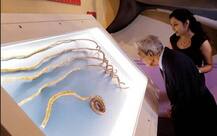 66 वर्ष नखं वाढवणारा पुण्याचा विक्रमवीर श्रीधर चिल्लाल