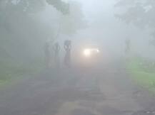 अमरावतीच्या चिखलदऱ्यात धुक्याची चादर