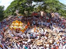 काटेवाडीत तुकोबांच्या पालखीच्या रथाभोवती मेंढ्यांचं रिंगण