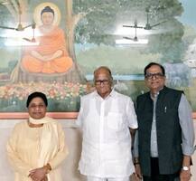 पवार-मायावती भेट, आगामी लोकसभा निवडणुकीवर चर्चा