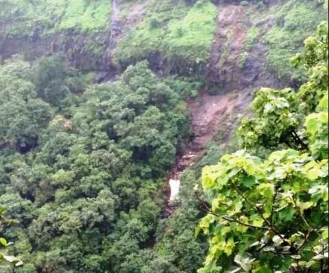 रायगडमधील पोलादपूर घाटात बस दरीत कोसळली, 32 जणांचा मृत्यू रायगडमधील पोलादपूर घाटात बस दरीत कोसळली, 32 जणांचा मृत्यू