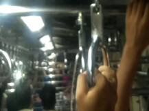 ठाणे-सीएसएमटी लोकलच्या पंख्यात साप, प्रवाशांचा गोंधळ