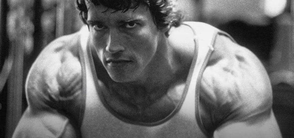 अनटोल्ड अरनॉल्ड : अरनॉल्ड श्वार्झनेगरची दास्तान...