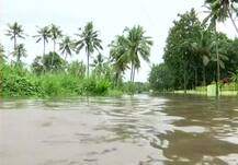 केरळच्या मदतीला इतर राज्य धावले, मोदीही केरळात पोहोचले