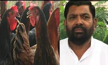 नोकरी सोडली, कोंबड्या पाळल्या, कुक्कुटपालनातून 5 कोटींची उलाढाल