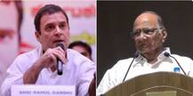 आगामी निवडणुकांत राष्ट्रवादीचा काँग्रेसला समान जागांचा प्रस्ताव- सूत्र