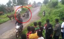 घोडागाडीच्या शर्यतीचा थरार, शड्डू मारताना तरुण कोसळला