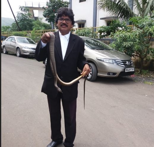 Navi Mumbai : Snake bites Judge in Panvel Court latest update नवी मुंबईत भरकोर्टात न्यायाधीशांना धामण चावली