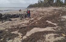 रायगडच्या समुद्र किनाऱ्यांवर तेलाचा तवंग