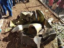 बाप्पाच्या आगमनाचवेळी उत्साही तरुणांचा उच्छाद, बसवर चढून डान्स