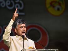 चंद्राबाबूंचा आंध्रवासियांना दिलासा, पेट्रोल-डिझेल 2 रुपयांनी स्वस्त