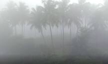 सांगली, सिंधुदुर्गात धुक्याची चादर