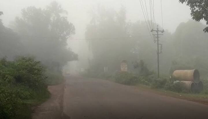 सिंधुदुर्गातही सलग दुसऱ्या दिवशी पहाटे धुकं दाटलं होतं. 