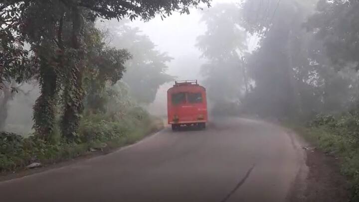 दाट धुक्यातून गाड्या मार्ग काढताना दिसत होत्या. 