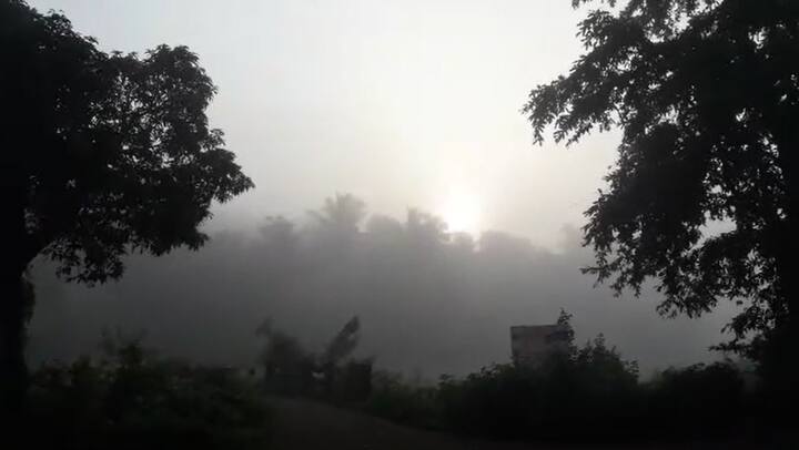 बहुतांश भाग गडद धुक्यात हरवलेला पहायला मिळाला.