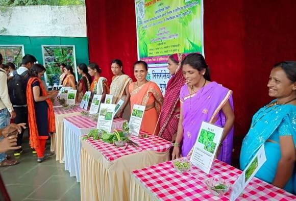 फूडफिरस्ता : रानभाज्या महोत्सवाच्या निमित्ताने