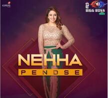 कोण आहेत \'बिग बॉस\'च्या घरातील 17 स्पर्धक?