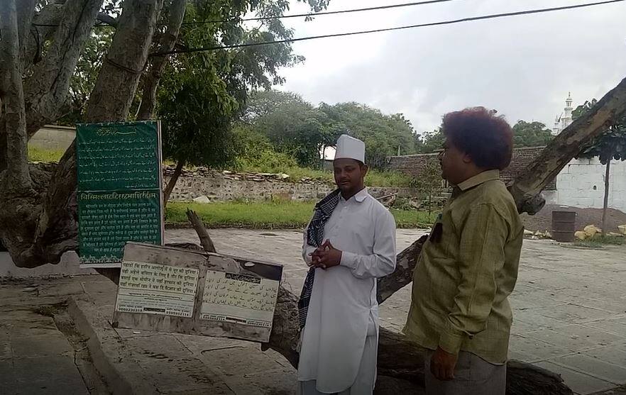 'ते' फळ खाल्ल्यास तृतीयपंथीयांनाही मुलं होतात, मौलवींचा दावा aurangabad maulavi controversial statement 'ते' फळ खाल्ल्यास तृतीयपंथीयांनाही मुलं होतात, मौलवींचा दावा