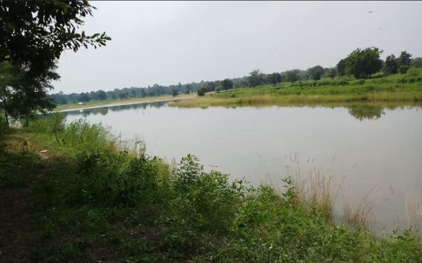 six people drown while ganpati visarjan in maharashtra राज्यभर गणपती विसर्जनादरम्यान 12 जणांचा बुडून मृत्यू