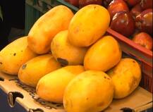 \'कटुता\' विसरुन पाकिस्तानी आंब्याच्या \'गोडव्या\'ला पुणेकरांची पसंती