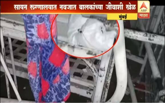 सायन रुग्णालयातील प्रसुती वॉर्डमध्ये झुरळांचा संचार Cocroaches found in Mumbai, Sion LT Hospital's Maternity Department सायन रुग्णालयातील प्रसुती वॉर्डमध्ये झुरळांचा संचार