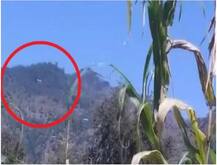 पाकिस्तानी हेलिकॉप्टरचा भारतीय हवाई सीमेत प्रवेश