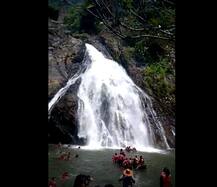 दूधसागर धबधबा पर्यटन हंगामाला सुरुवात