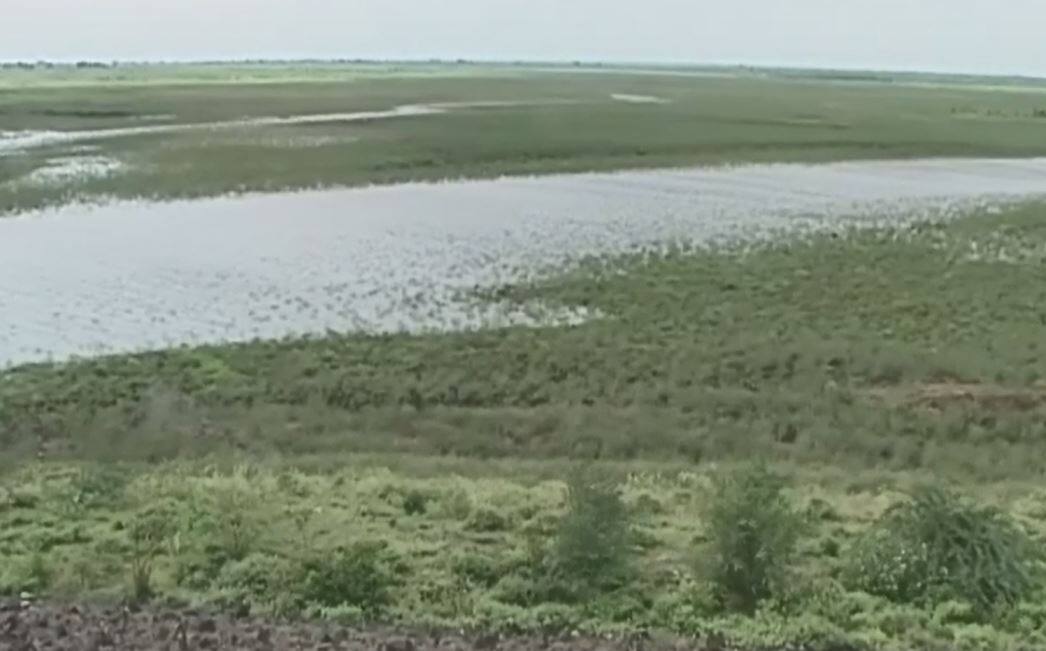 drought like situation & water crisis in Latur, The possibility of sending a water train again मांजरा धरण मृत साठ्यात, लातूरमध्ये दहा दिवसातून एकदा पाणी