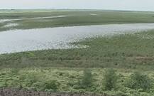 मांजरा धरण मृत साठ्यात, लातूरमध्ये दहा दिवसातून एकदा पाणी