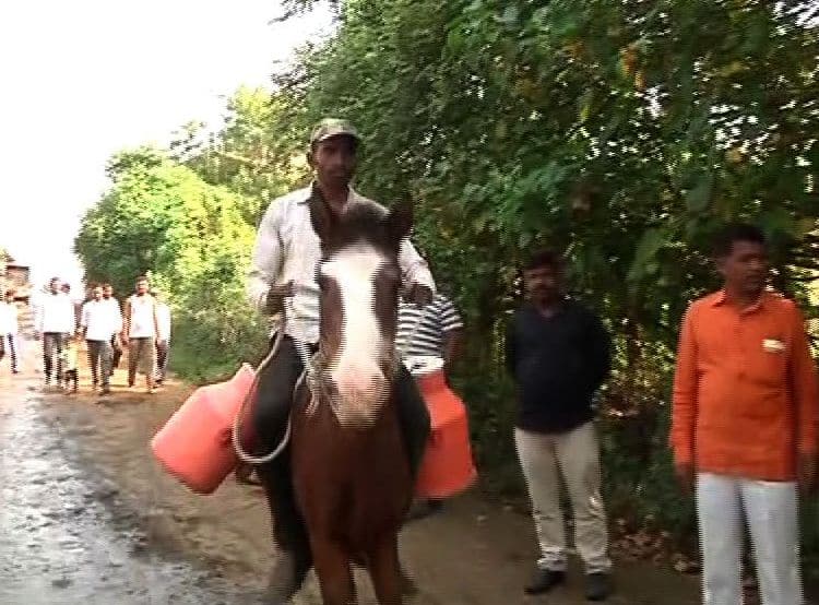 Nashik youth innovative idea after hikes in petrol diesel price पेट्रोल दरवाढीवर उतारा, घोड्यावरुन दूधवाटप