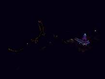 358 मशालींच्या प्रकाशात उजळून निघाला प्रतापगड