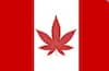 गांजाला कायदेशीर मान्यता देणारा कॅनडा दुसरा देश