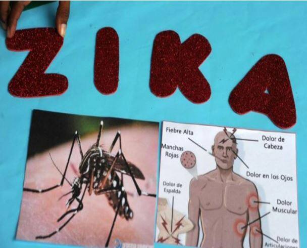 6 more cases of zika virus found in rajasthan राजस्थानमध्ये आतापर्यंत 123 जणांना झिका व्हायरसची लागण