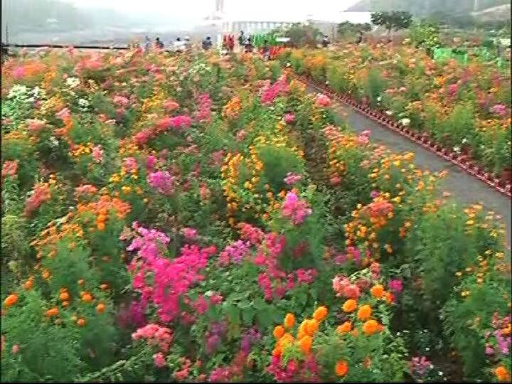 तब्बल 17 किलोमीटरच्या विस्तीर्ण परिसरात व्हॅली ऑफ फ्लॉवर साकारण्यात आला आहे. 