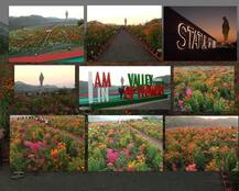 स्टॅच्यू ऑफ युनिटीच्या जवळ \'व्हॅली ऑफ फ्लॉवर\'