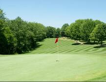 नवी मुंबईत कांदळवनाच्या जागेवर \'गोल्फ कोर्स\'चा बेत बरगळला