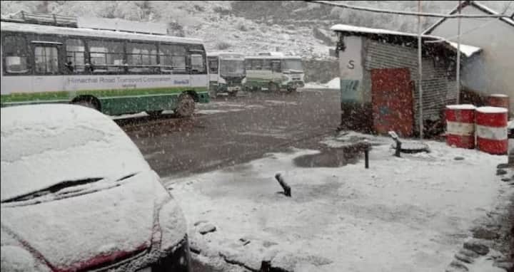 मोठ्या प्रमाणावर होणाऱ्या बर्फवृष्टीमुळे निसर्गानं जणू पांढरा शालू नेसल्यासारख चित्र सर्वत्र आहे.